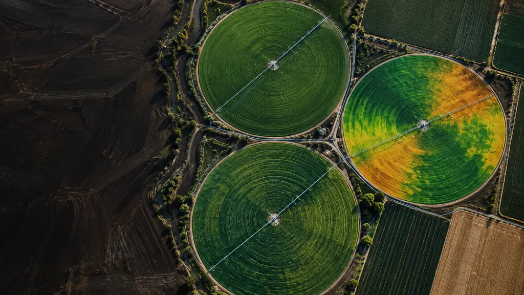Illustration of centre pivots with a vigour layer in green and amber